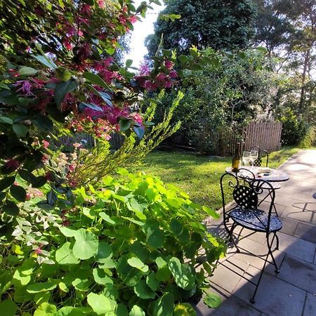 Garden Rest Appartement New Lambton Buitenkant foto